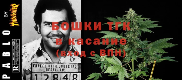 тгк Вяземский